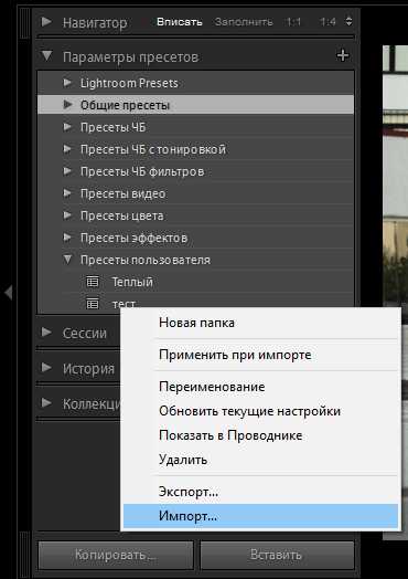 Как добавлять пресеты в lightroom