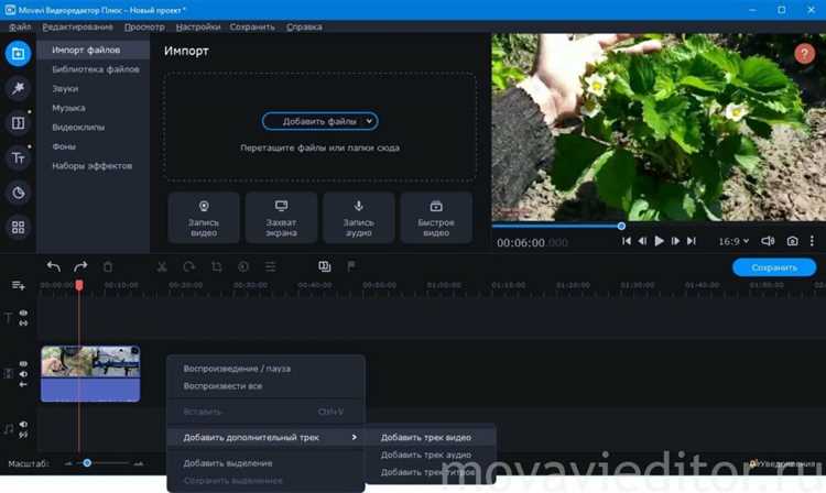 Если важна прозрачность, выберите экспорт с альфа-каналом в формате MOV или WebM. Убедитесь, что в проекте нет фона или он отключён, иначе прозрачность не сохранится.