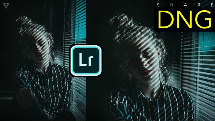 Проверка импортированных DNG файлов в каталоге Lightroom