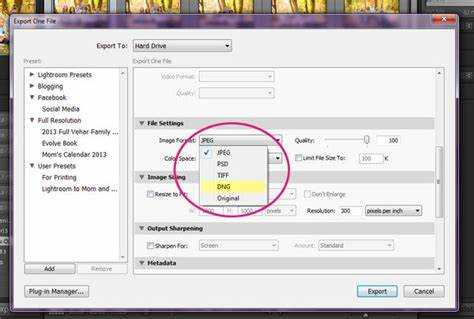 Как импортировать dng в lightroom