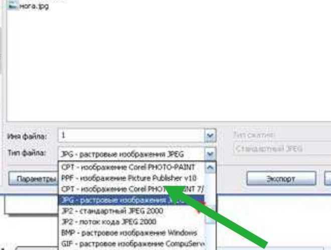 Вставка экспортированных материалов в документ Word