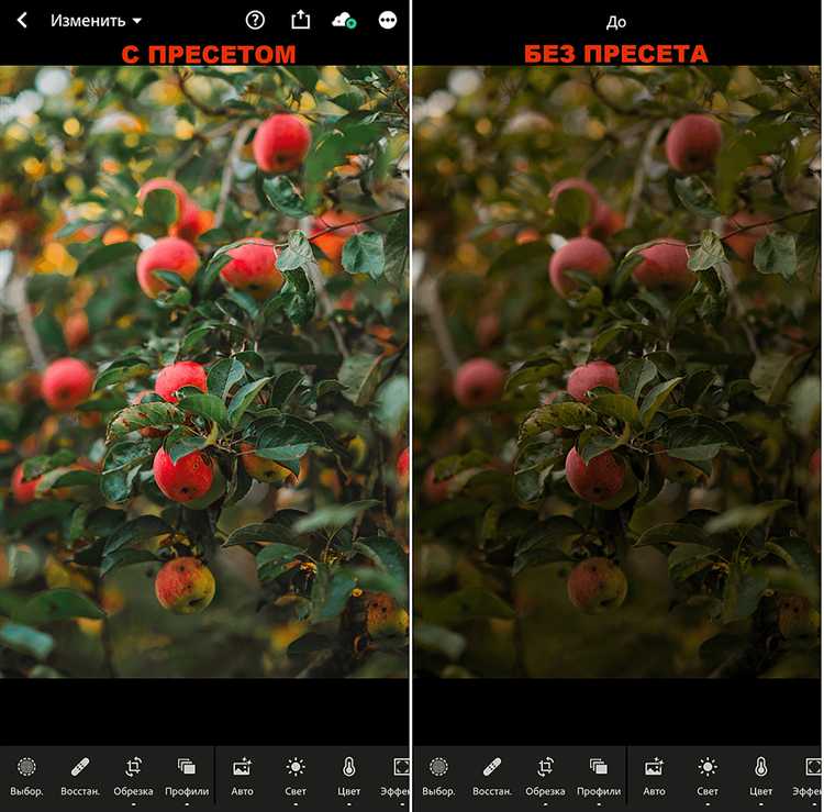 Где найти ползунок непрозрачности пресета в Lightroom