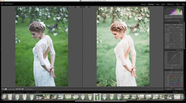Как проверить совместимость пресетов с вашей версией Lightroom