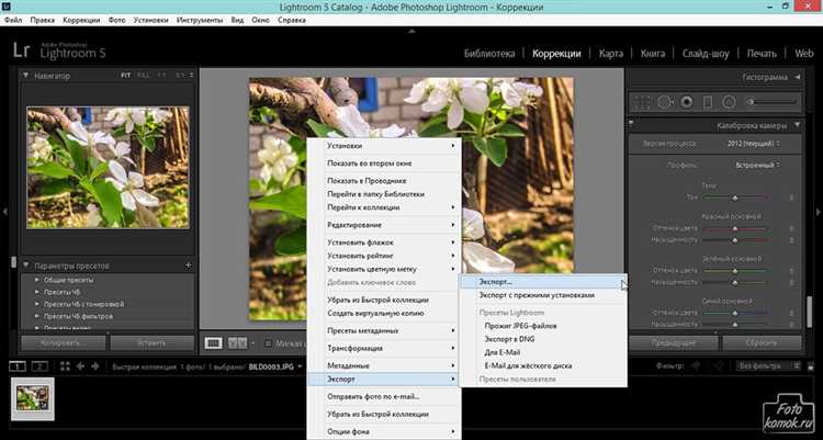 Местоположение пресетов в новой версии Lightroom (облачной)