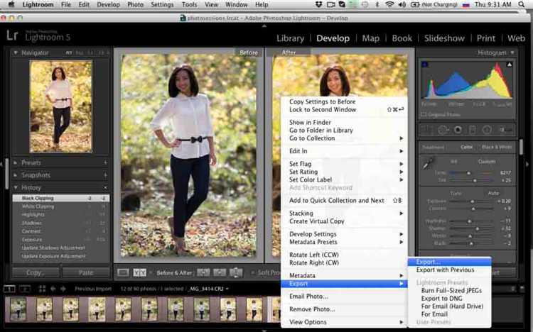 Как найти пресеты в lightroom