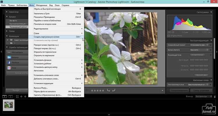 Импорт RAW файлов и организация каталога в Lightroom