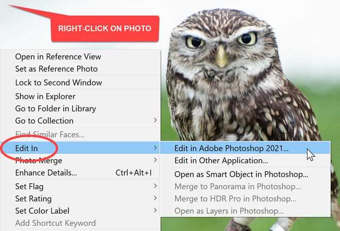 Как открыть файл ARW в Lightroom быстро и правильно