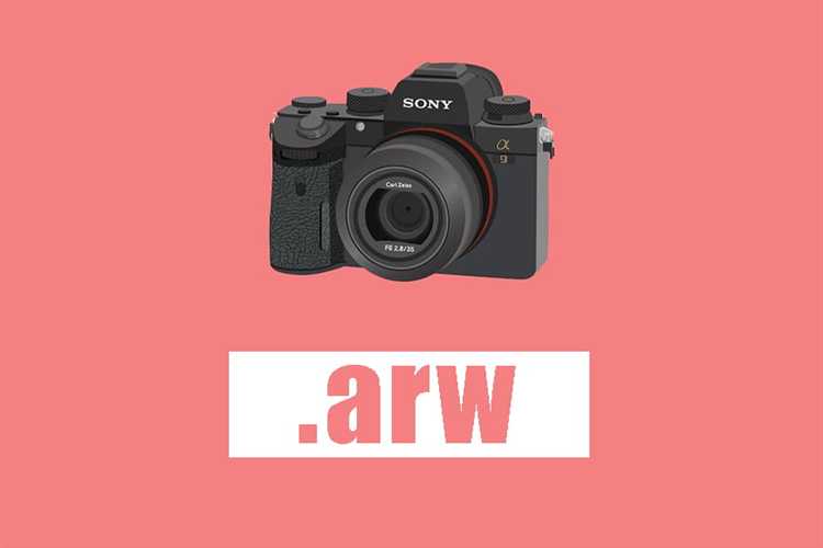Как открыть arw в lightroom Как открыть arw в lightroom