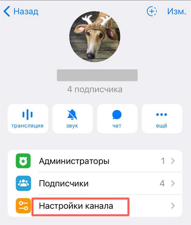 Telegram не предоставляет встроенной функции комментариев напрямую для каналов. Тем не менее, есть эффективный способ её реализации – использование чатов, привязанных к каналу. Этот подход позволяет создать отдельное пространство для обсуждений под каждым постом, сохраняя при этом основное содержание канала чистым и упорядоченным.