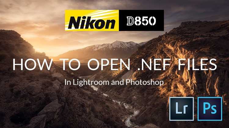 Проверка совместимости версии Lightroom с форматом NEF
