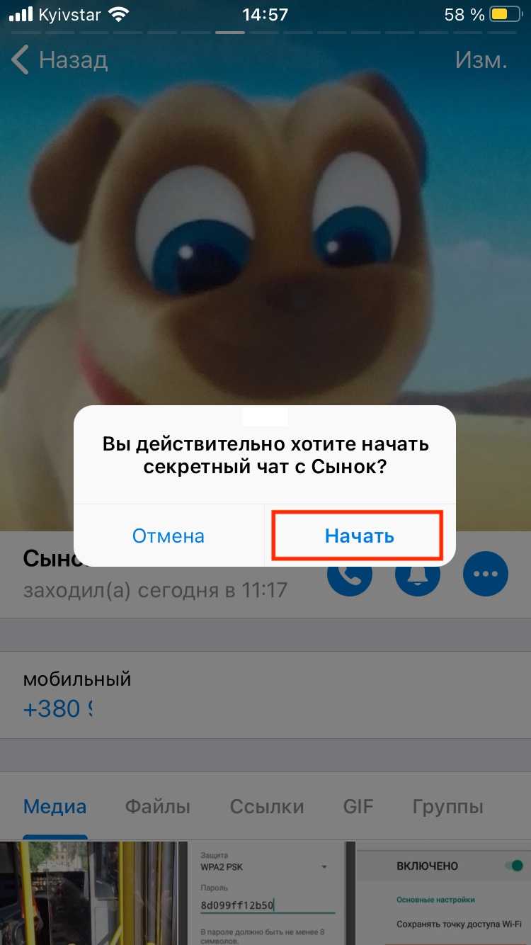 Как активировать функцию исчезающих фото в Telegram