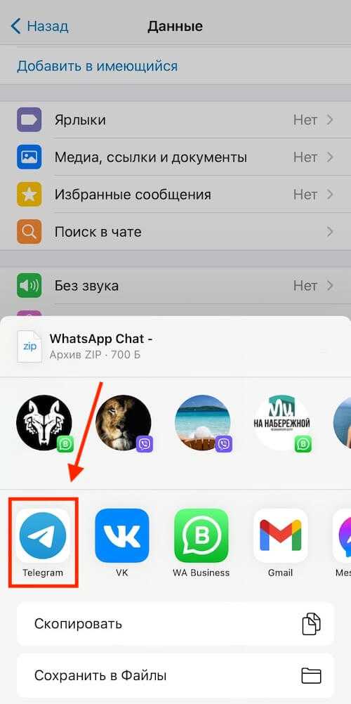 Пошаговая инструкция по экспорту чатов из WhatsApp