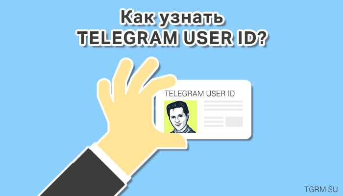 Где искать file_id при отправке медиафайла себе в «Избранное»