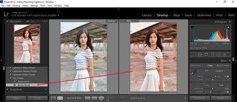 Как пользоваться пресетами в lightroom на айфоне