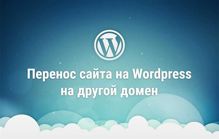 Проверка работы сайта и индексации нового домена в поисковых системах