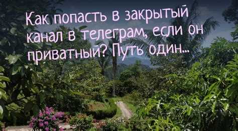 Как запросить доступ к приватному каналу у его участников