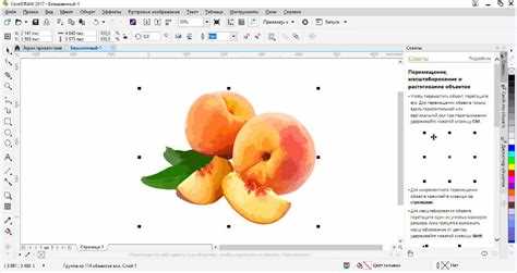 Как преобразовать фото в векторный рисунок coreldraw
