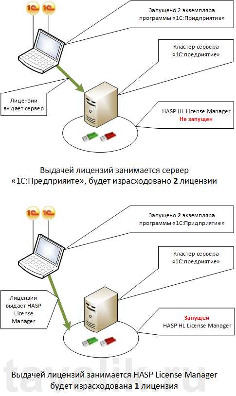 Процедура установки и настройки HASP-ключа для 1С