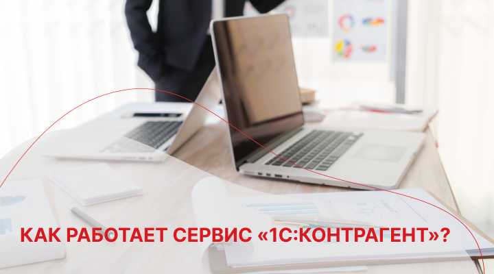 Особенности работы сервиса с налоговыми и регистрационными базами