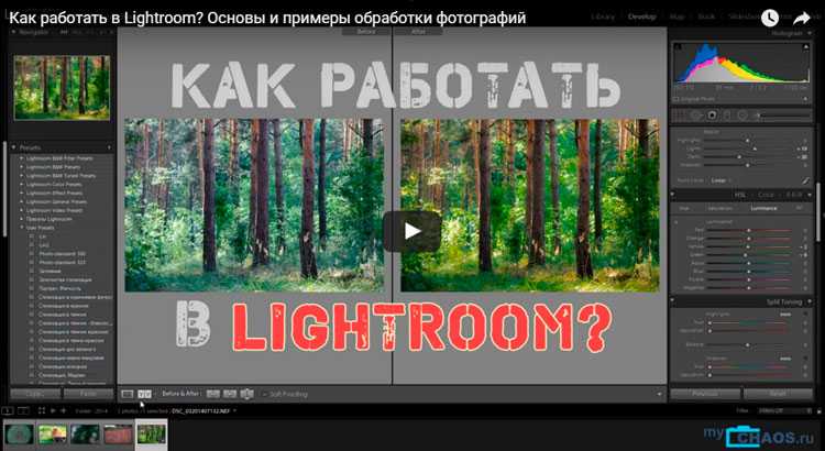 Импорт фотографий и организация каталога