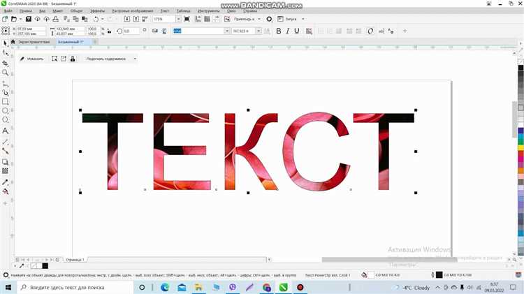 Выбор параметров печати для PowerClip объектов