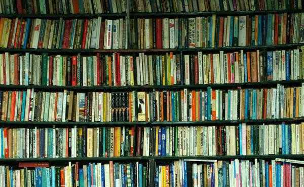 Расположение кадров на шкале времени с учётом сюжета книги