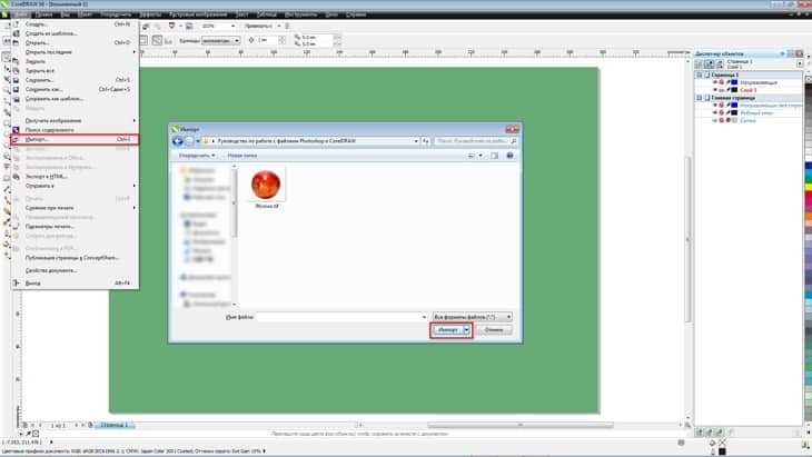 Как сделать фон в coreldraw