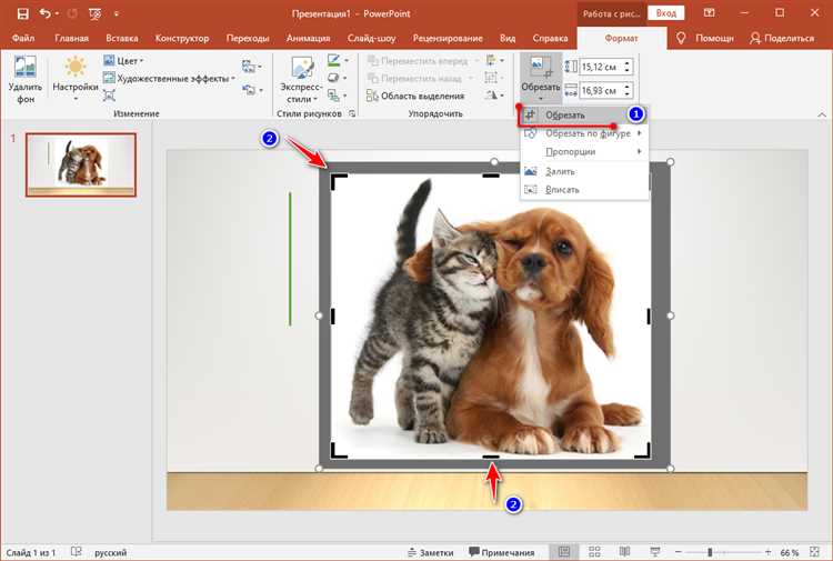 Как сделать обтекаемость картинки в powerpoint