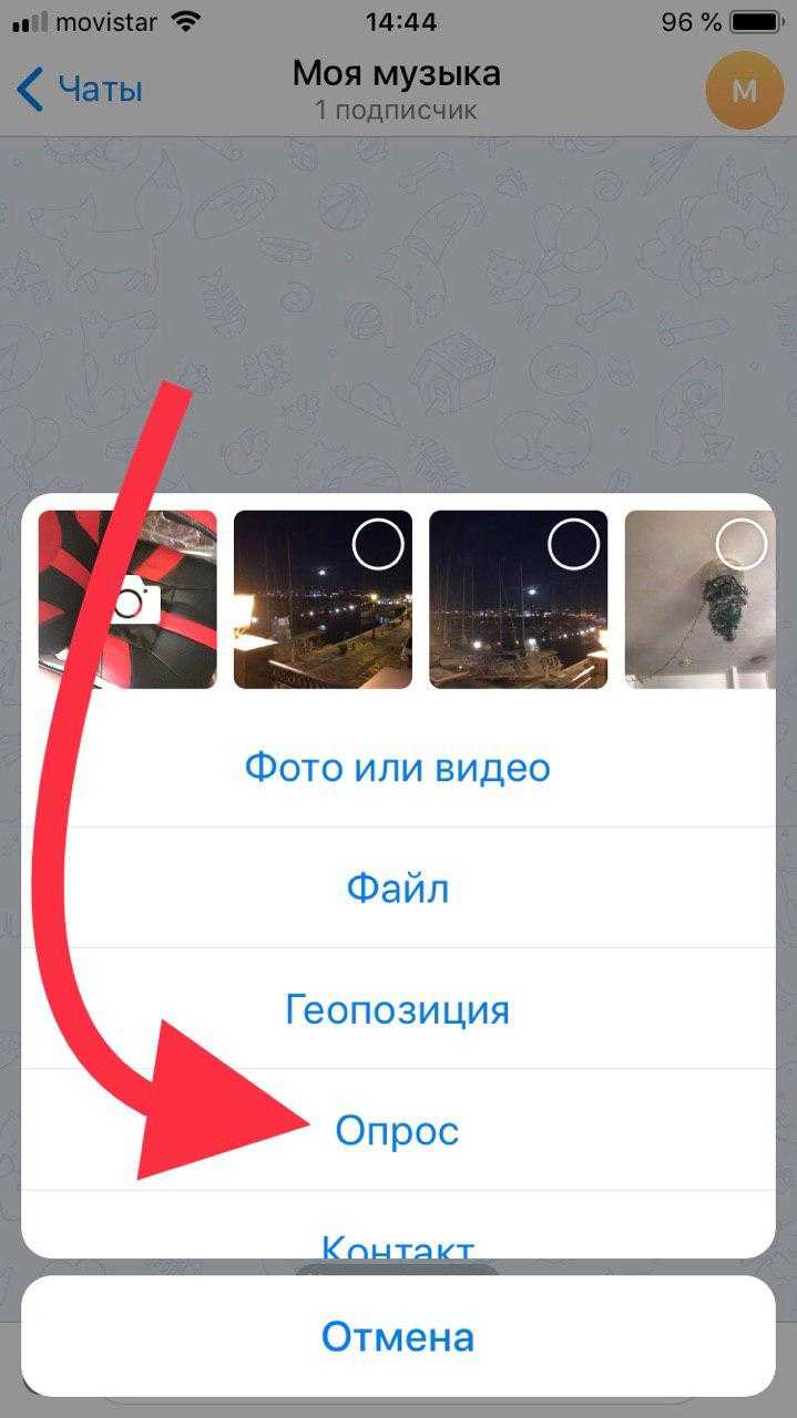 Как сделать опрос в telegram