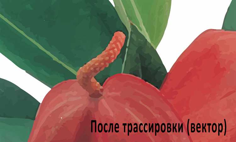 Очистка и упрощение полученного векторного изображения