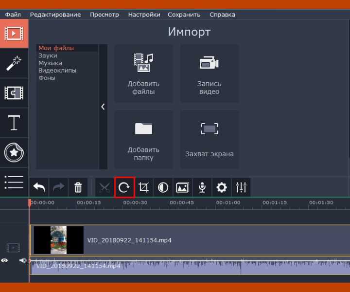 Где найти функцию обратного воспроизведения в интерфейсе Movavi