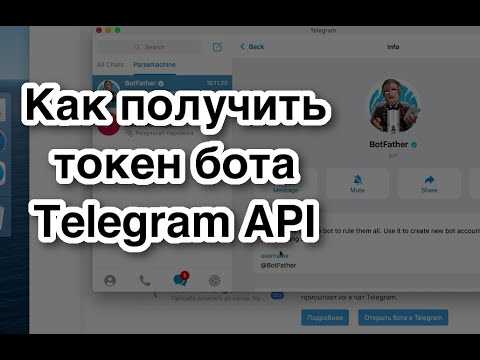 Добавление .env в .gitignore для исключения из репозитория