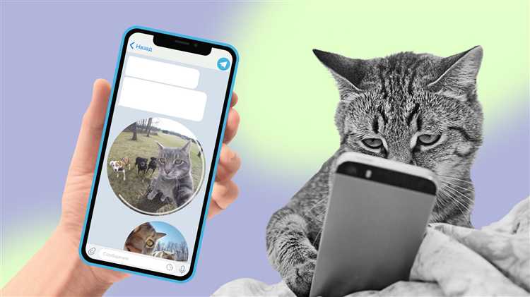 Ограничения длительности и размера круглых видео в Telegram