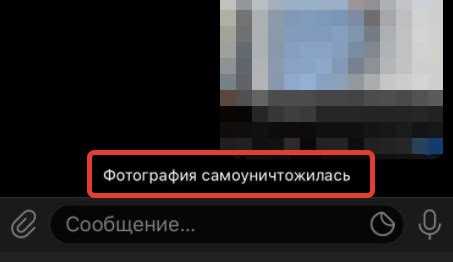 Как использовать скриншоты для сохранения фото в Telegram