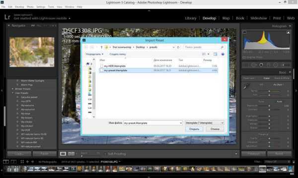 Переименование и организация пресетов в Lightroom