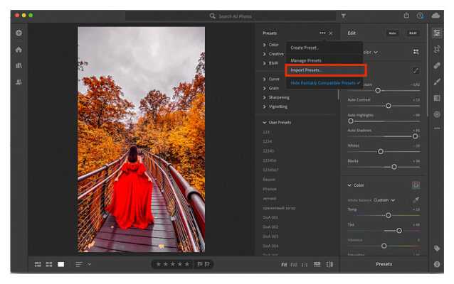 Пошаговое создание нового пресета в Lightroom на iPhone