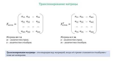 Создание матрицы в Maple для транспонирования