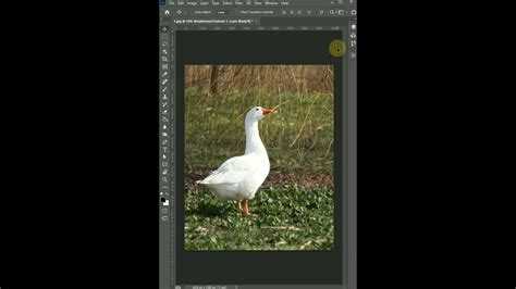 Как убрать пересвет на фото в lightroom