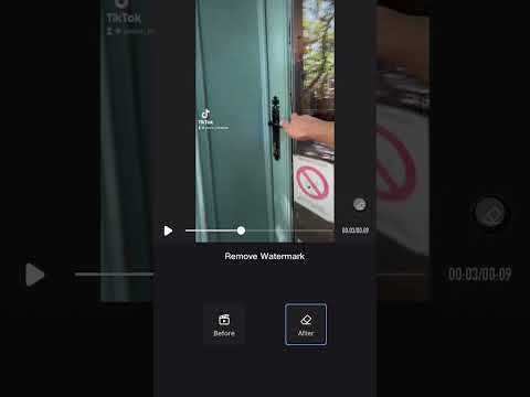 Как удалить логотип с видео в movavi