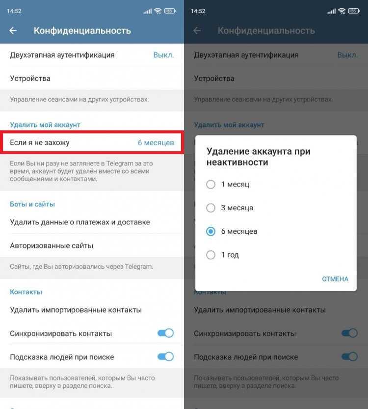 Проверка текущего webhook через Bot API