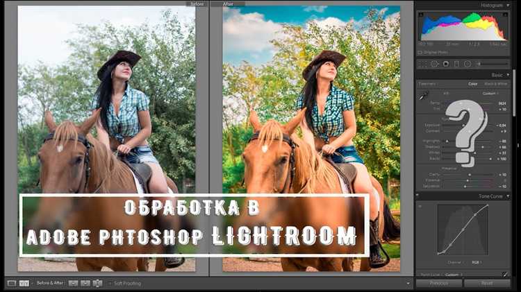 Обновление и выбор подходящего оборудования для Lightroom CC