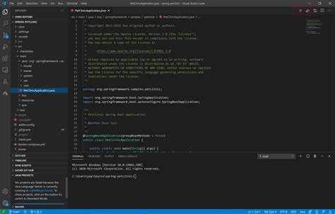 Как установить java на visual studio code