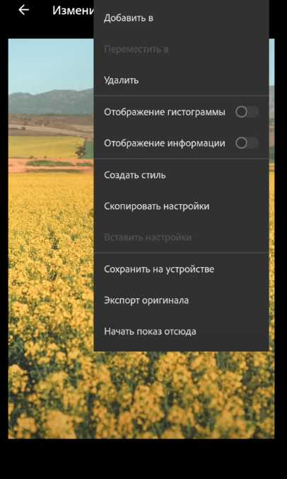 Где найти пресеты для Lightroom на Android