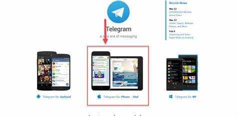 Как установить Telegram на iPad: пошаговая инструкция