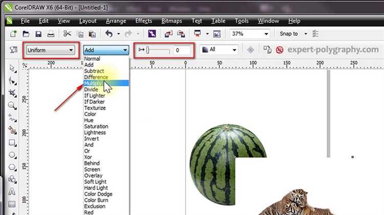 Как удалить белый фон у растрового изображения в CorelDRAW