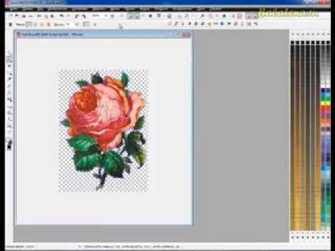 Как в coreldraw вставить картинку без фона