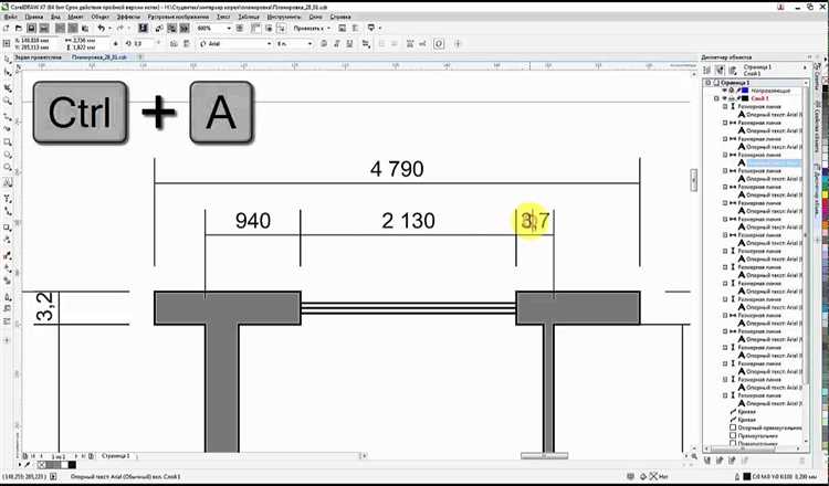 Как задать размер в coreldraw