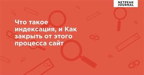 Как закрыть сайт от индексации wordpress