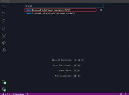 Запуск VS Code через терминал в Linux