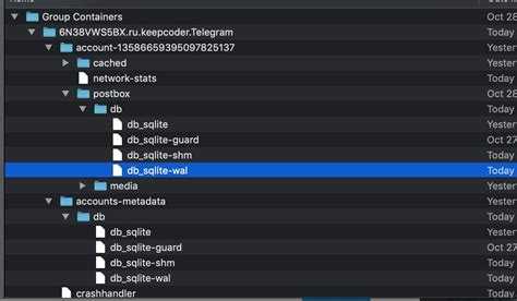 Какой объем базы данных telegram Какой объем базы данных telegram